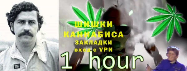 шишки Ростов