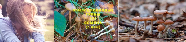 МДПВ Абаза