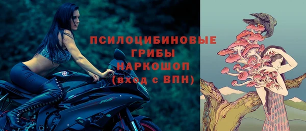 шишки Ростов