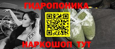 шишки Малгобек