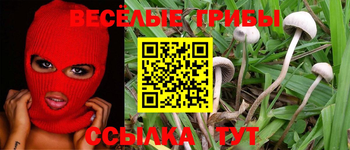 Дивногорск  Псилоцибиновые грибы Magic Shrooms  Галлюциногенные грибы прущие грибы  Вход с VPN 